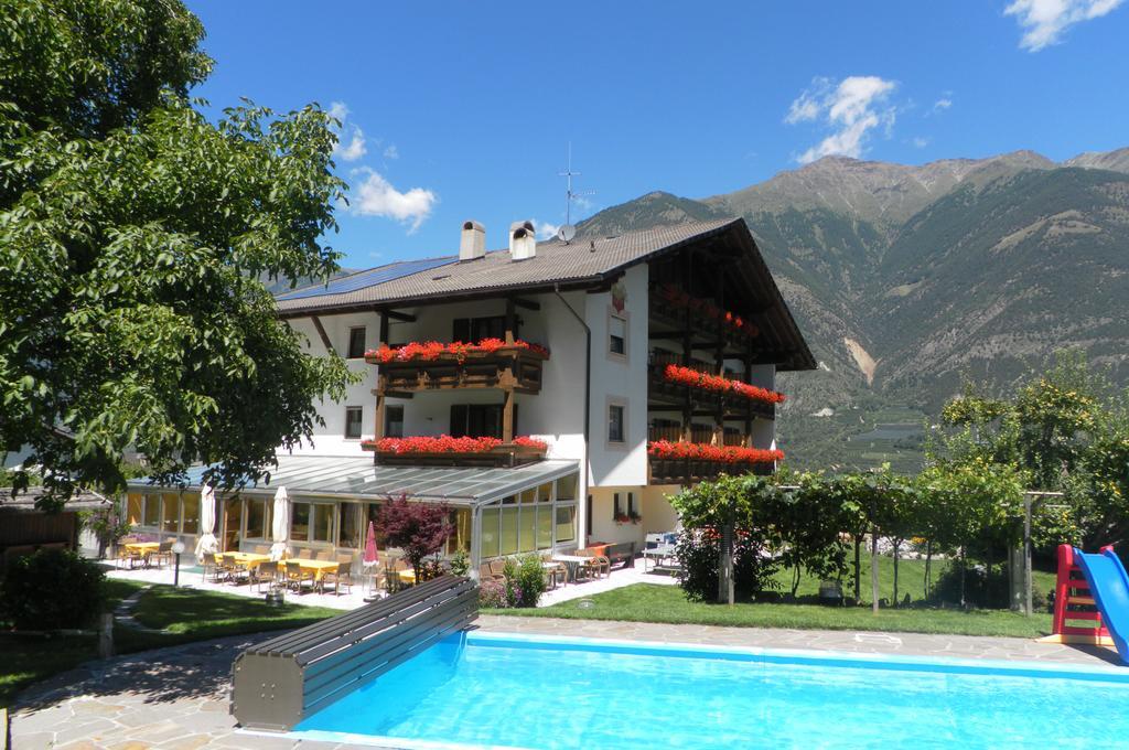 Montani
